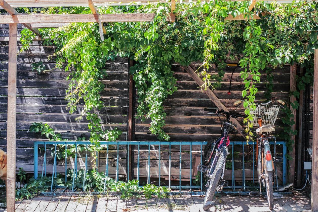 Hostel דורס מראה חיצוני תמונה